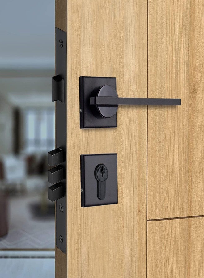 RAB Mortise Lock Handle for Main Doors, Bedroom, Living Room, Complete Set (Code- Rose 7521, Finish- Z Black, Pack of 1 Mortise Set, Without Lock) - Image 1
