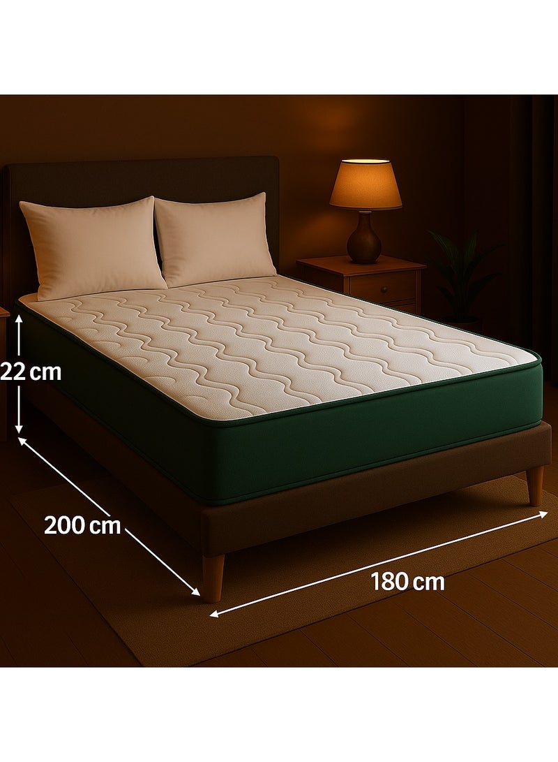 ١/٣ حياة مرتبة فوم عالي الكثافة – بسماكة 25 سم، طبقات فوم فاخرة مع قماش قطني تركي قابل للتنفس – دعم طبي للعمود الفقري، طرد للرطوبة، تصميم بدون قلب – المقاس: 180 × 200 × 25 سم - Image 3