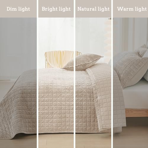 COCOPLOCEUS Quilt Set Oversized King Size 120x128 Luxurious Velvet Bedding Sets with 2 Pillow Shams 20x36 3 Pieces Ultra Soft Quilted Bedspread Coverlet Comforter for All Season,Beige - Image 2