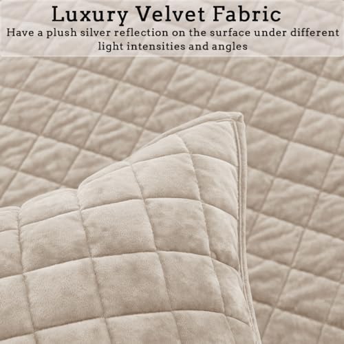 COCOPLOCEUS Quilt Set Oversized King Size 120x128 Luxurious Velvet Bedding Sets with 2 Pillow Shams 20x36 3 Pieces Ultra Soft Quilted Bedspread Coverlet Comforter for All Season,Beige - Image 4