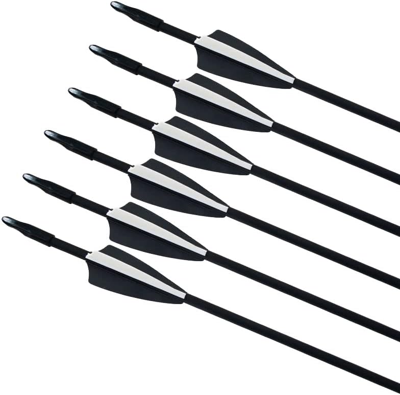gpp Archery Beginner's First Arrows (30" Fiberglass Target Archery Arrows) - 12 Pack - Image 1