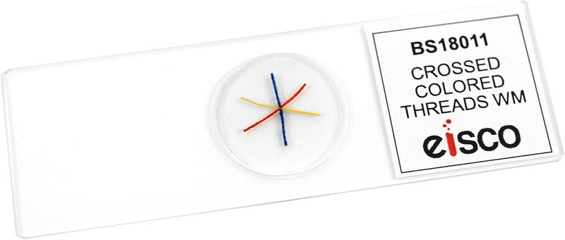 EISCO (Pack of 25) Crossed, Colored Threads - Prepared Microscope Slides - Wholemount - 75 x 25mm - Classroom Pack, 25 Slides in Storage Case - Introductory Microscopy - Image 2