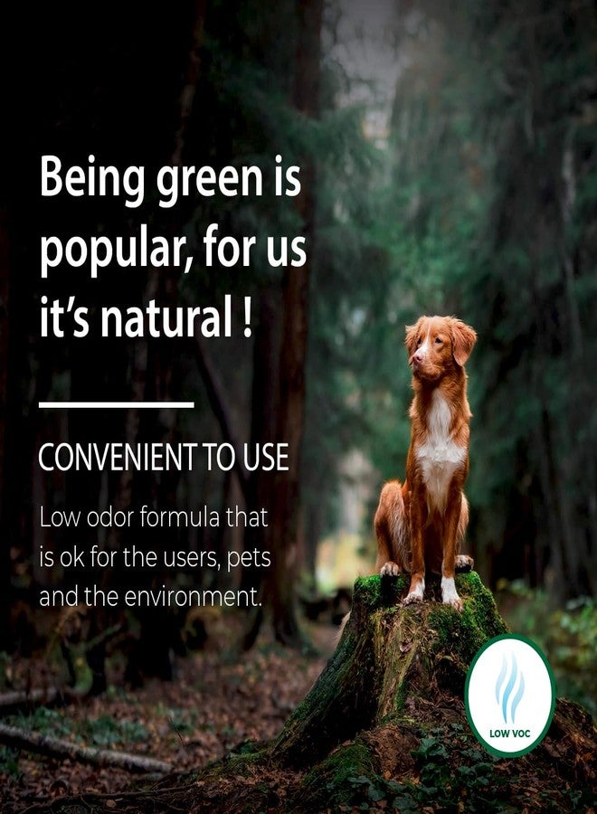 SamaN سامان الداخلية، طلاء وتلميع الخشب بخطوة واحدة - صبغة زيتية عديمة الرائحة - حماية للأثاث والخشب الفاخر (خشب الأرز SAM-303، 8 أونصة) - Image 5