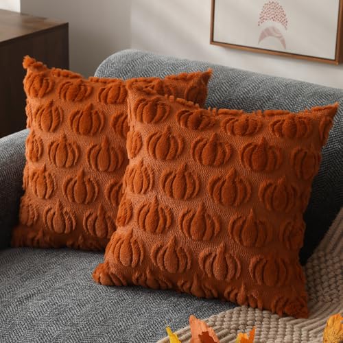 DFXSZ Fall Pillow Covers 20x20 Set of 2 Fall Decorations Autumn Rust Pumpkin Throw Pillow Cases Soft Plush Faux Fur Wool Couch Cushion Case for Chair Sofa Bedroom Living Room Home Decor PTK02A20 - Image 1