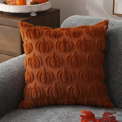 DFXSZ Fall Pillow Covers 20x20 Set of 2 Fall Decorations Autumn Rust Pumpkin Throw Pillow Cases Soft Plush Faux Fur Wool Couch Cushion Case for Chair Sofa Bedroom Living Room Home Decor PTK02A20 - Image 3