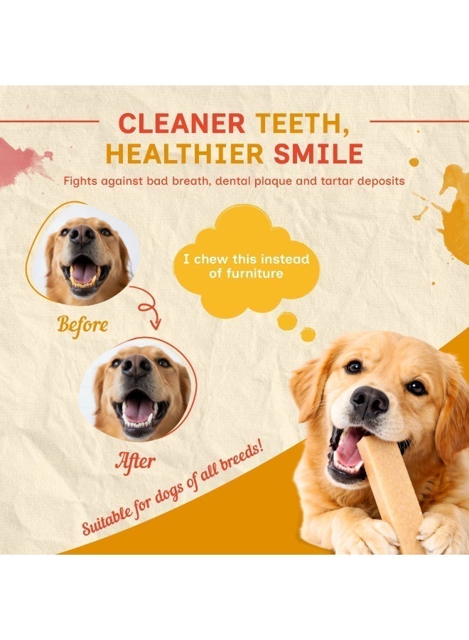 PUPRAZY Yak Cheese Himalayan Dog Chew Bars- Coconut Flavor| All natural, Long-lasting Veg Dental dog treat Antioxidant bone - Image 4