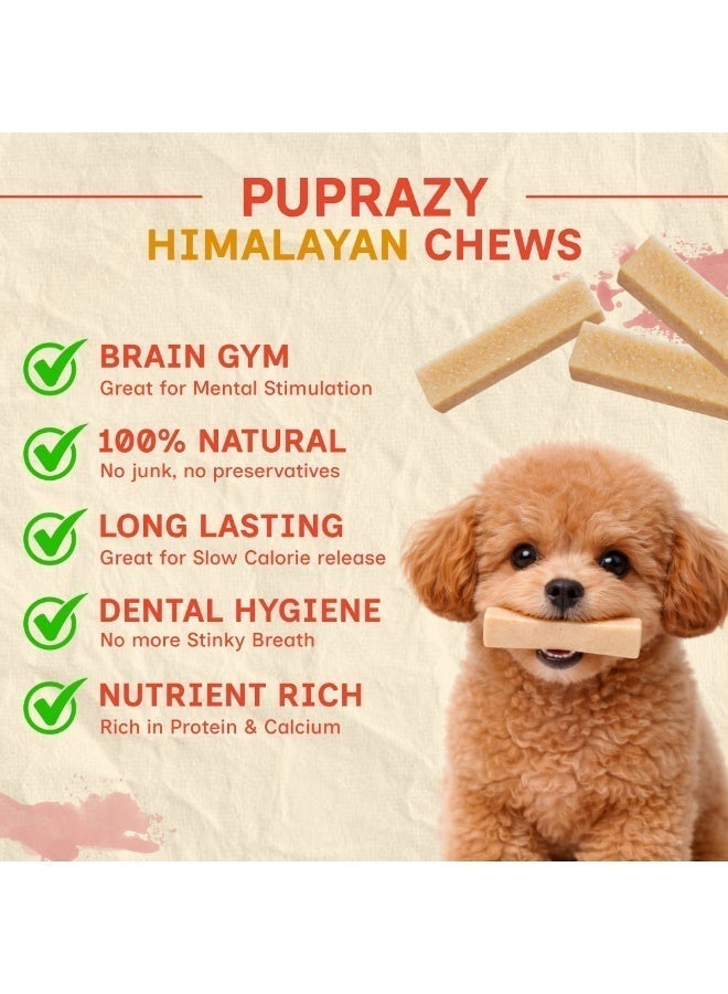 PUPRAZY Yak Cheese Himalayan Dog Chew Bars- Coconut Flavor| All natural, Long-lasting Veg Dental dog treat Antioxidant bone - Image 2