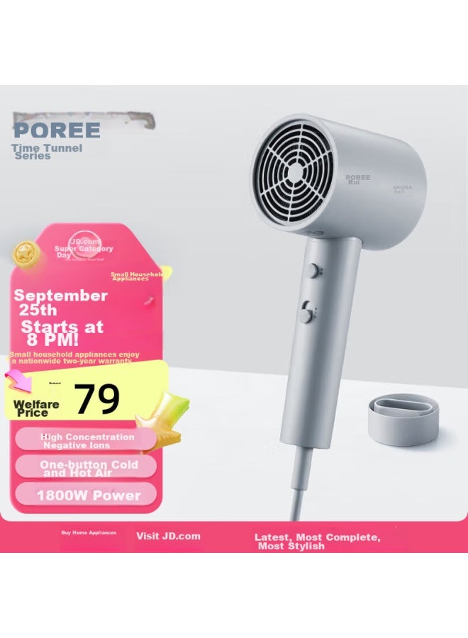 FLYCO Feike Borui Hair Dryer For Home Use With Negative Ions, Portable Quick-drying Hair Care High-power Blower For Dormitory, Gentle Wind Constant Temperature Hair Protection Ph1636 - Image 1
