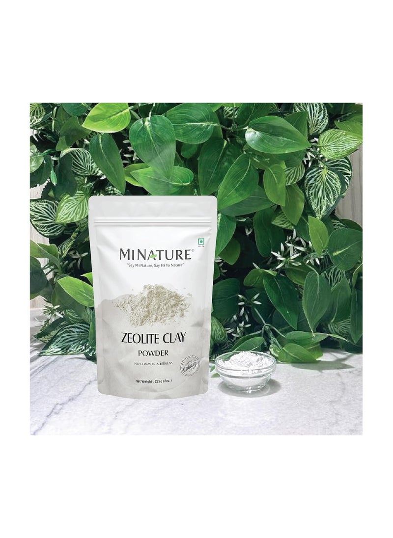 minature - Zeolite Clay powder by mi nature | Zeolite clay | 227g(8 oz) | Absorbs excess oil | Skincare face masks, face scrubs, and body cleansers |Repair Damaged Hair | Vegan | 100% Natural - Image 1