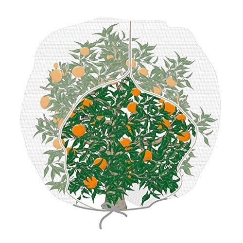 Agfabric Agfabric Plant Cover,30"-W x 60"-H In-shape Bag with Zipper and Rope, Insect Barrier,Insect Netting  - Image 1