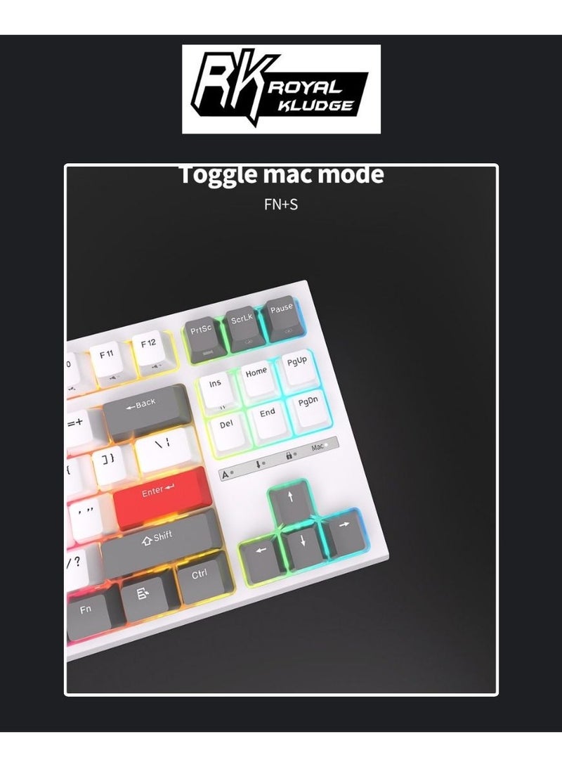 رويال كلودج لوحة مفاتيح ميكانيكية قابلة للتبديل Royal Kludge RK-R87 RGB 87 مفتاح باللون الأسود (مفتاح أزرق) - Image 4