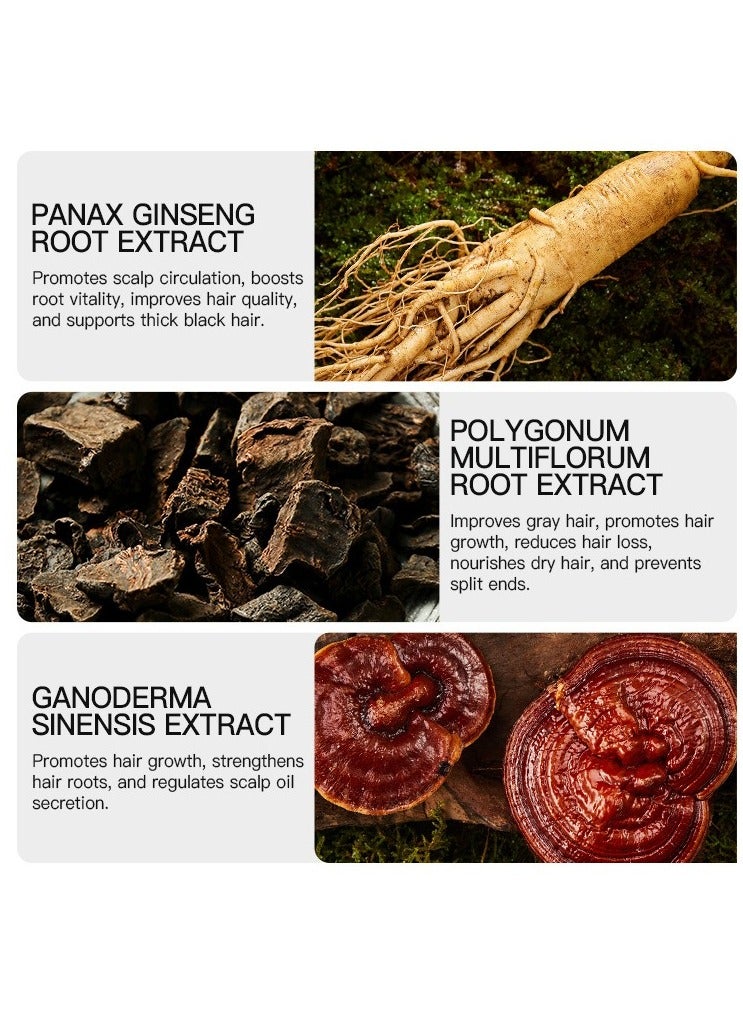 Kormesic شامبو الشعر الأسود الجينسنغ 200 مل-تغذية - Image 5