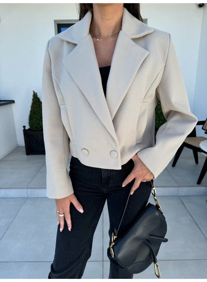 European And American Clothing Autumn And Winter Fashion British Suit Collar Woolen Small Jacket