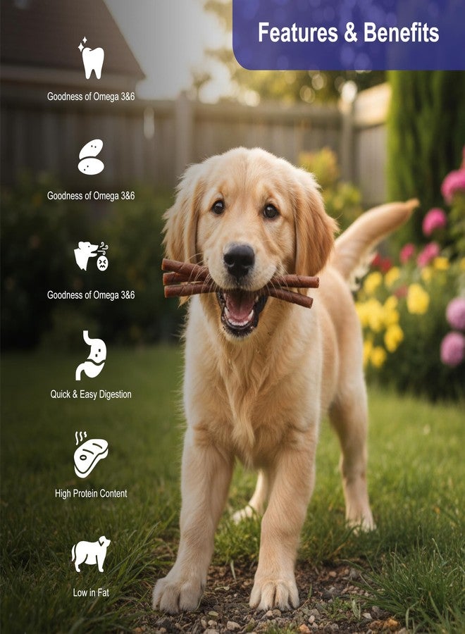 Snackers Non-Rawhide Dog Chews, Chewy Roll Natural for Dogs, 225g | Safe & Digestible Treats | Healthy Chew Sticks for All Breeds & Sizes - Image 2