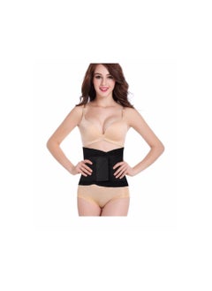 Miss Belt Belt Instant Hourglass Waist Shaper Trimmer Black L/Xl  - Image 5