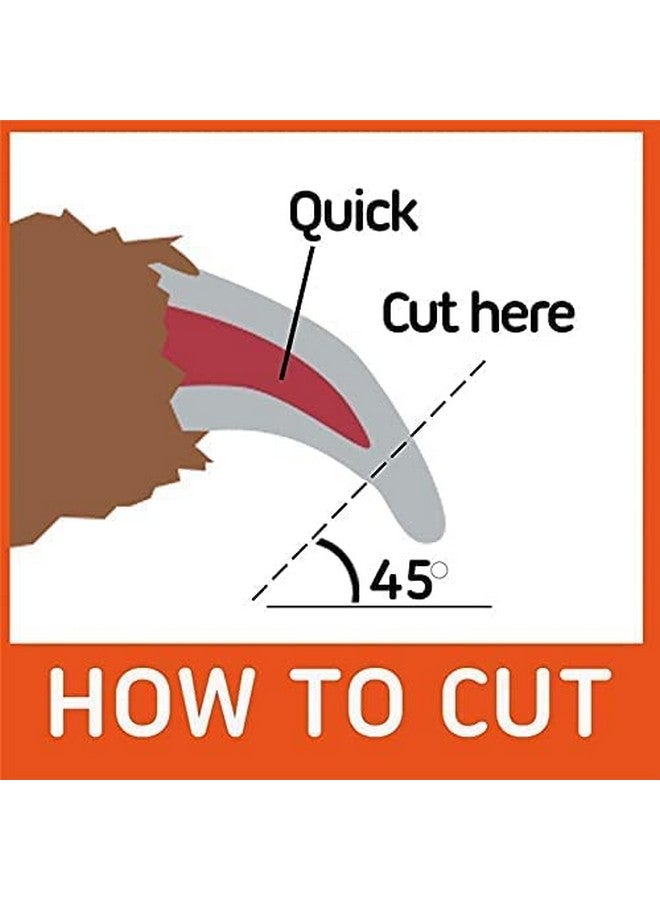 سايج سكوير مجموعة العناية بالحيوانات الأليفة - مغرفة بلاستيكية بمقبض طويل + قاطع أظافر مع مبرد (متوسط) + فرشاة استحمام للحيوانات الأليفة ومشط للعناية بالحيوانات الأليفة مع حلقة قابلة للتعديل للكلاب والجراء - مجموعة من 3 قطع (قد يختلف اللون) - Image 5