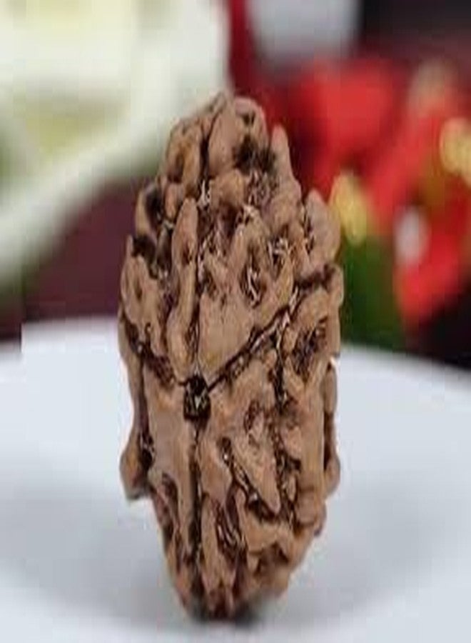Trishakti Punch Mukhi rudraksha Along with | Natural & Certified | Astrological Five Mukhi/Faced Rudraksha | Positive Effect | Unisex Both for Men & Women - Image 5