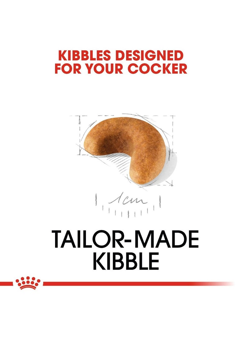 رويال كانين - تغذية صحية لسلالات الكلاب الصغيرة - 3 كجم - Image 2