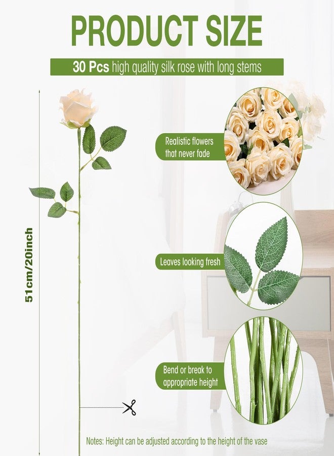 Jexine 60 PCS Artificial Roses Bulk Silk Flowers with Long Stems, Realistic Faux Rose Bouquet for Wedding Centerpieces, Valentine’s Party, Decor Home (Champagne) - Image 2
