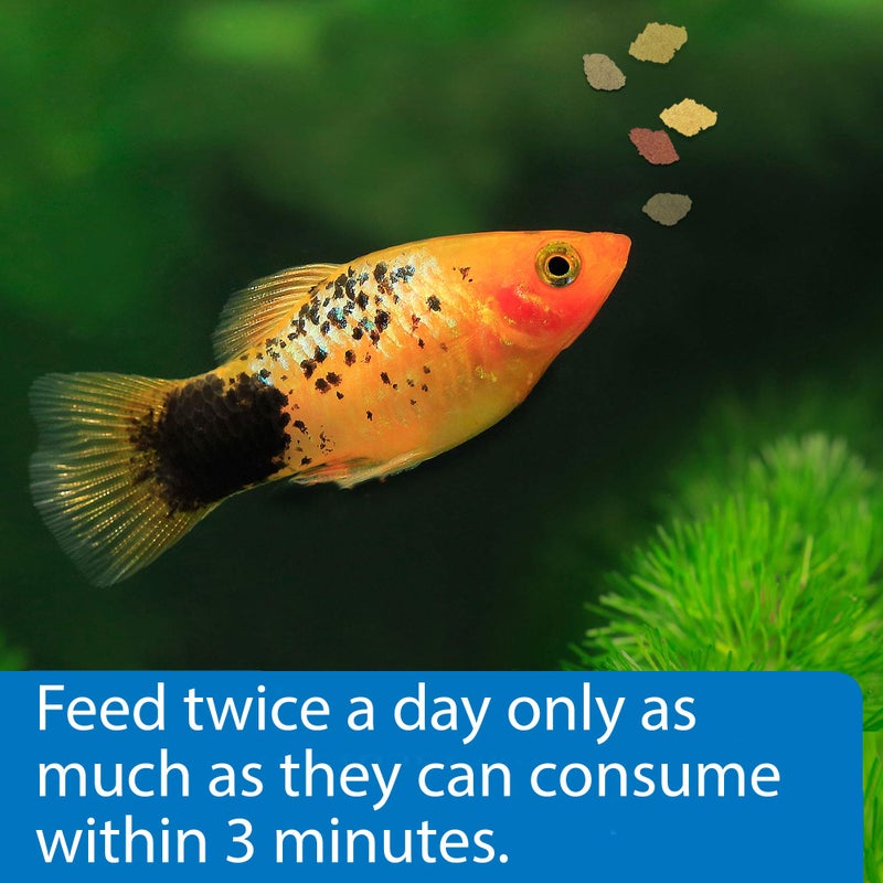 API TROPICAL FLAKES Fish Food 5.7-Ounce Container - Image 3