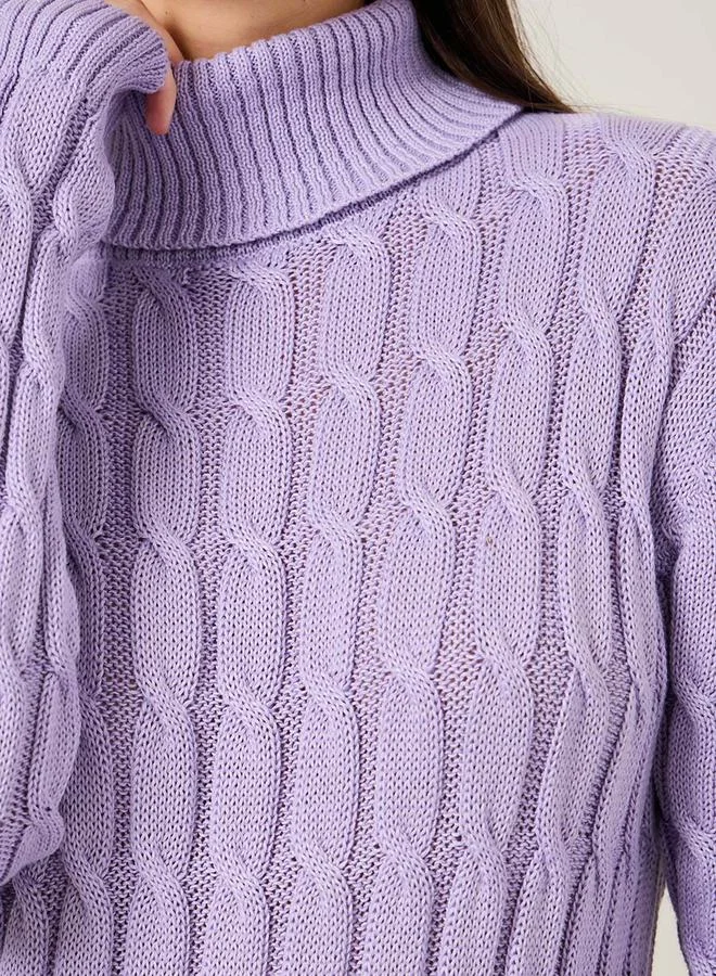 Styli Turtle Neck Chunky Knit Sweater Midi Dress