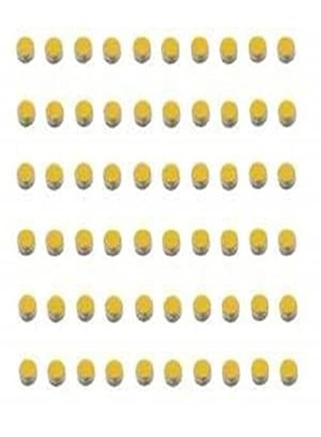 اسي مغناطيس ACi Sujok Byol - صغير (مجموعة من 10) - عبوة من 12 قطعة - Image 1