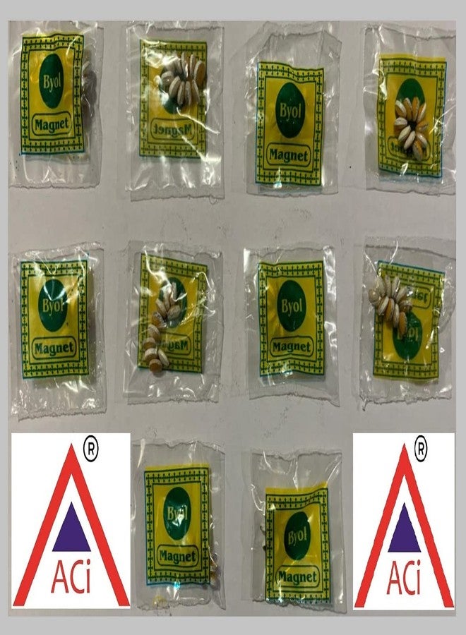اسي مغناطيس ACi Sujok Byol - صغير (مجموعة من 10) - عبوة من 12 قطعة - Image 5