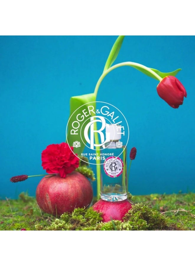 ROGER & GALLET Roger&Gallet Gingembre Rouge Wellbeing Fragrant Water 30ml - Image 2