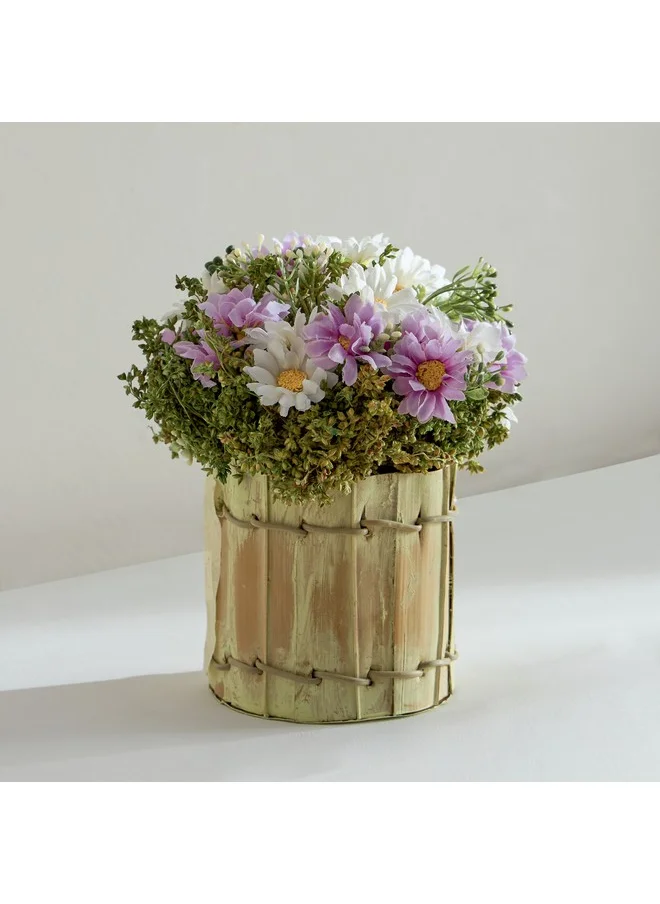 Home Box Caven Daisy Arrangement in Todi Leaf Planter 16 x 16 x 20 cm