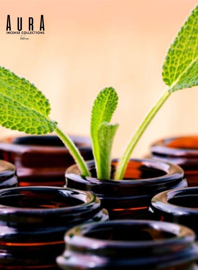 أباميك زيت المريمية العطري (تركيا) | 10 مل | أروما تييرا - Image 3