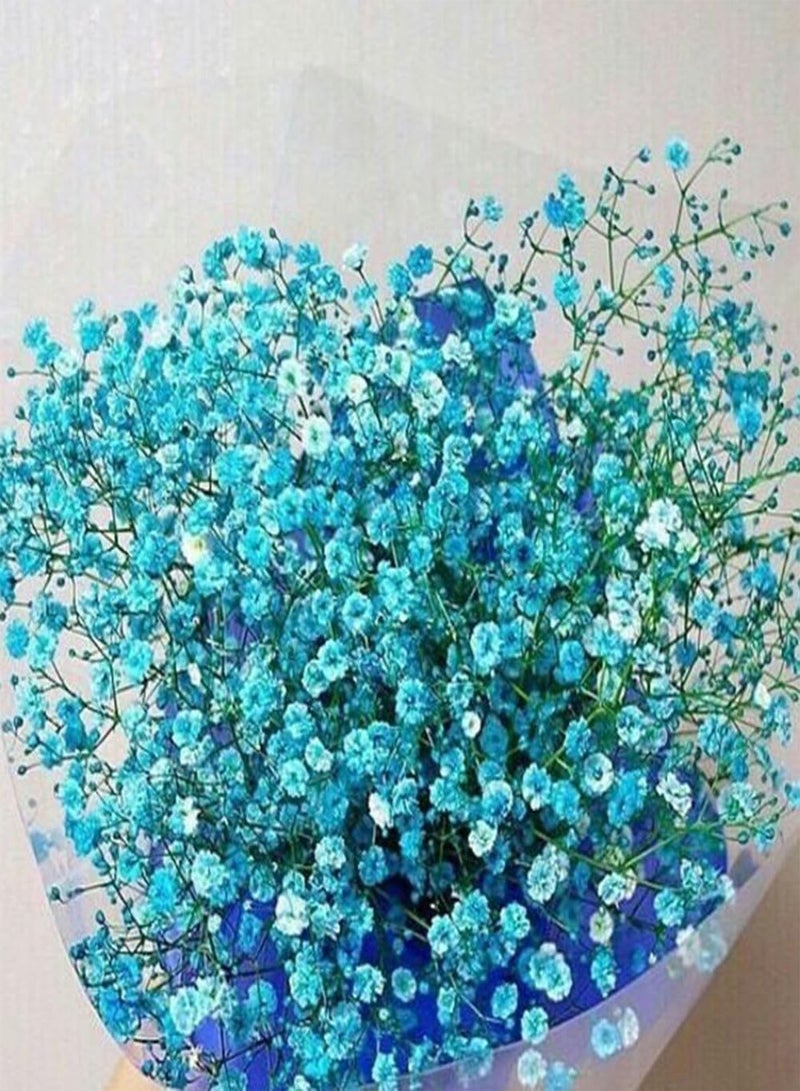 GGOOT 30Pcs Colorful Baby's Breath Gypsophila Seeds, Flower Garden Bonsai Plant Decor Blue - Image 1