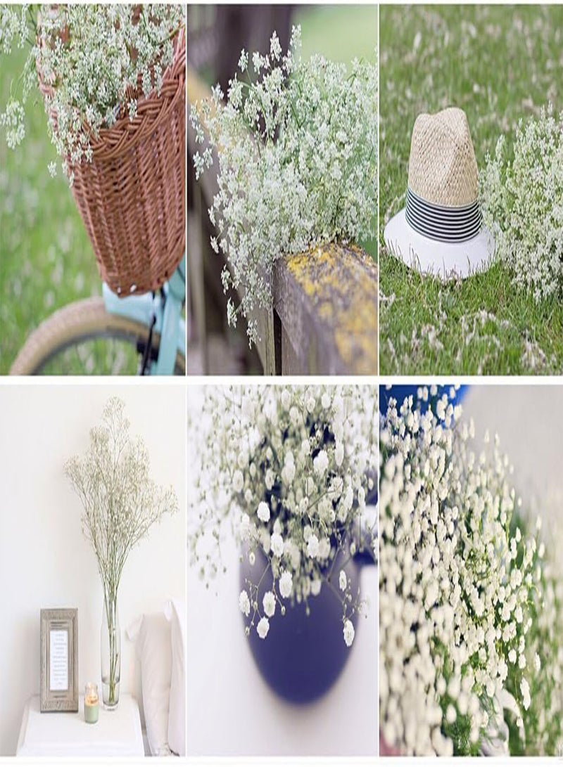 GGOOT 30Pcs Colorful Baby's Breath Gypsophila Seeds, Flower Garden Bonsai Plant Decor Blue - Image 3