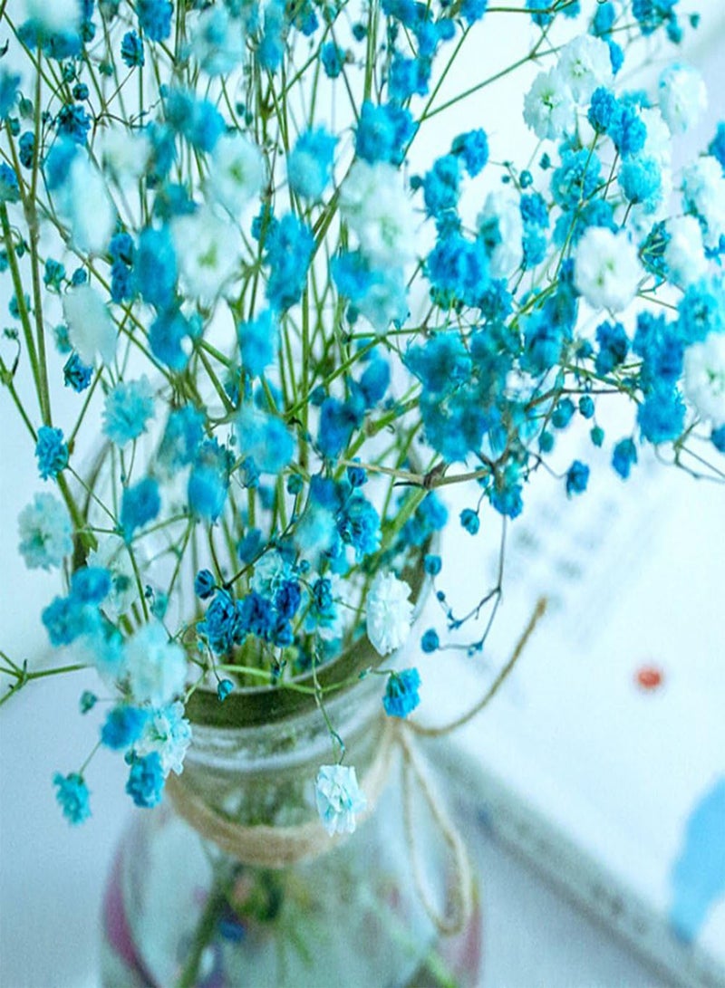 GGOOT 30Pcs Colorful Baby's Breath Gypsophila Seeds, Flower Garden Bonsai Plant Decor Blue - Image 2
