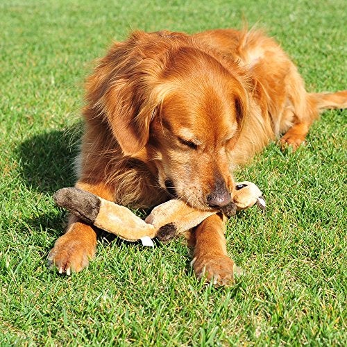 ZippyPaws - Zingy No Stuffing Durable Squeaky Plush Dog Toy - Skunk - Image 3