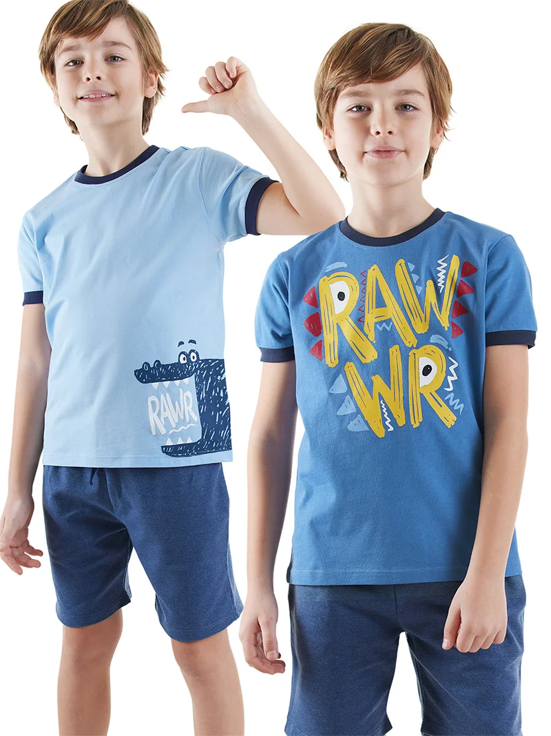 Denokids 2 Pack Boy Navy Blue&Blue T-shirts