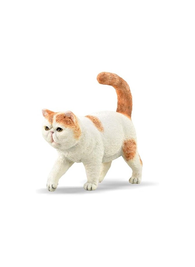 CollectA EXOTIC SHORTHAIR 