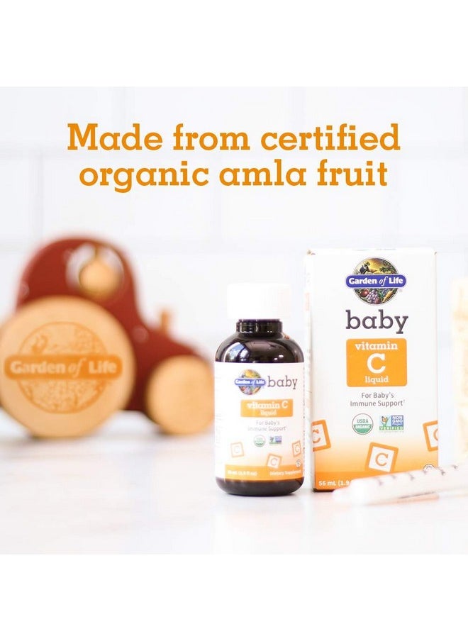 Garden of Life - Baby Vitamin C Drops For Infants And Toddlers Organic Whole Food Liquid Vitamin C 45Mg Immune Support For Babies From Amla Fruit Citrus Flavor Vegan & Gluten Free 56 Ml (1.9 Fl Oz) - Image 1