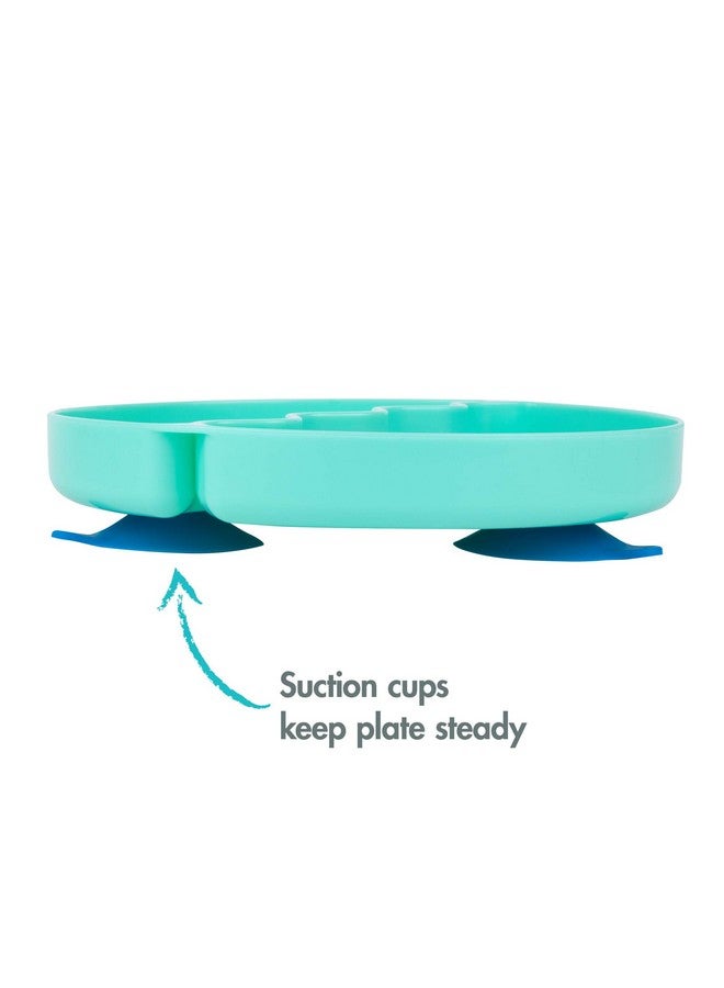 ذا فيرست ييرز أطباق شفط مقسمة من بينكفونغ بيبي شارك من ذا فيرست ييرز - أطباق أطفال آمنة للاستخدام في غسالة الأطباق مع أكواب شفط - أساسيات تغذية الطفل للأطعمة الصلبة في مرحلة الفطام الذاتي - Image 2