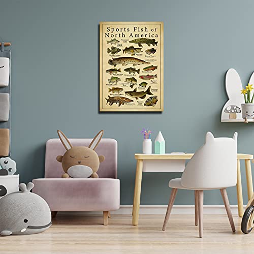 Busmko Sports Fish of North America Education Knowledge Wall Decor Vintage Art Canvas Painting Modern Picture Artworks Gift for Living Room Decor Artwork Unframed 16x24 inch40x60cm - Image 3