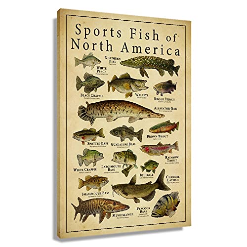 Busmko Sports Fish of North America Education Knowledge Wall Decor Vintage Art Canvas Painting Modern Picture Artworks Gift for Living Room Decor Artwork Unframed 16x24 inch40x60cm - Image 1