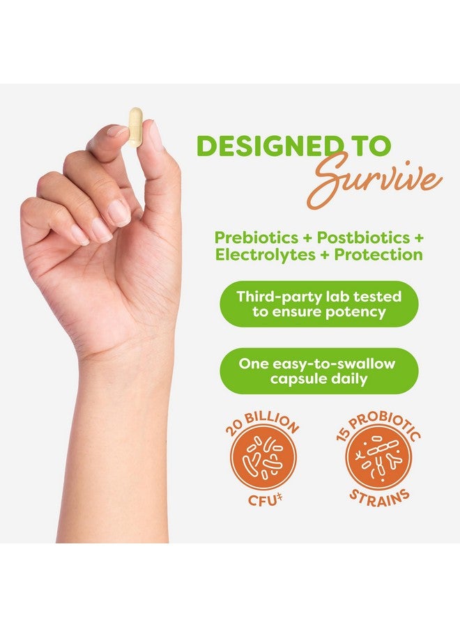 Probulin مكمل بروبيولين توتال كير البروبيوتيك، صحة الأمعاء اليومية، الهضم، وصحة المناعة كبسولات بروبيوتيك للرجال والنساء، 20 مليار وحدة تشكيل مستعمرة، نباتي، زجاجة تحتوي على 60 كبسولة - Image 4