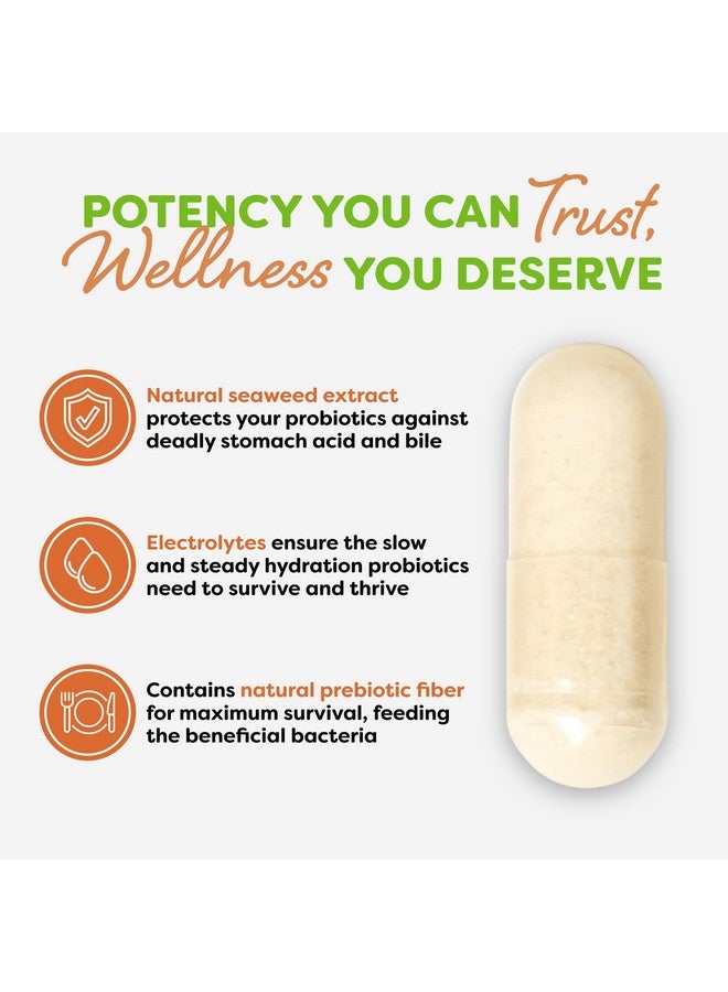 Probulin مكمل بروبيولين توتال كير البروبيوتيك، صحة الأمعاء اليومية، الهضم، وصحة المناعة كبسولات بروبيوتيك للرجال والنساء، 20 مليار وحدة تشكيل مستعمرة، نباتي، زجاجة تحتوي على 60 كبسولة - Image 5