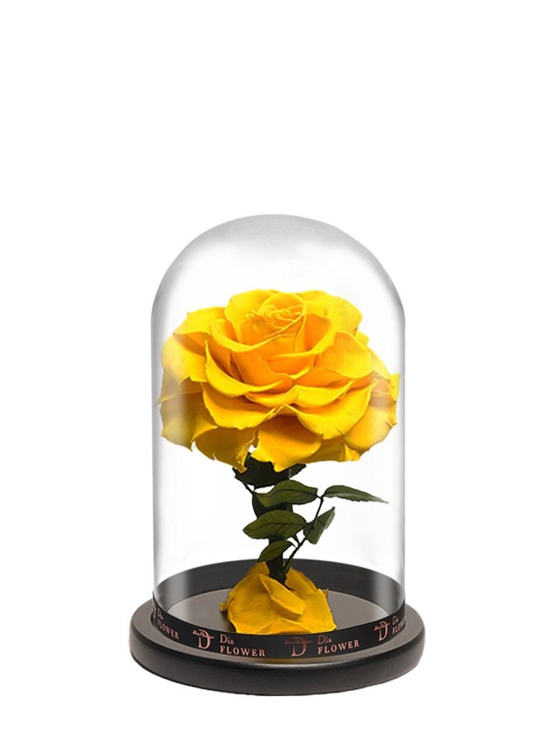Dia FLOWER - بريميوم إنفينيتي متوسطة - Image 1