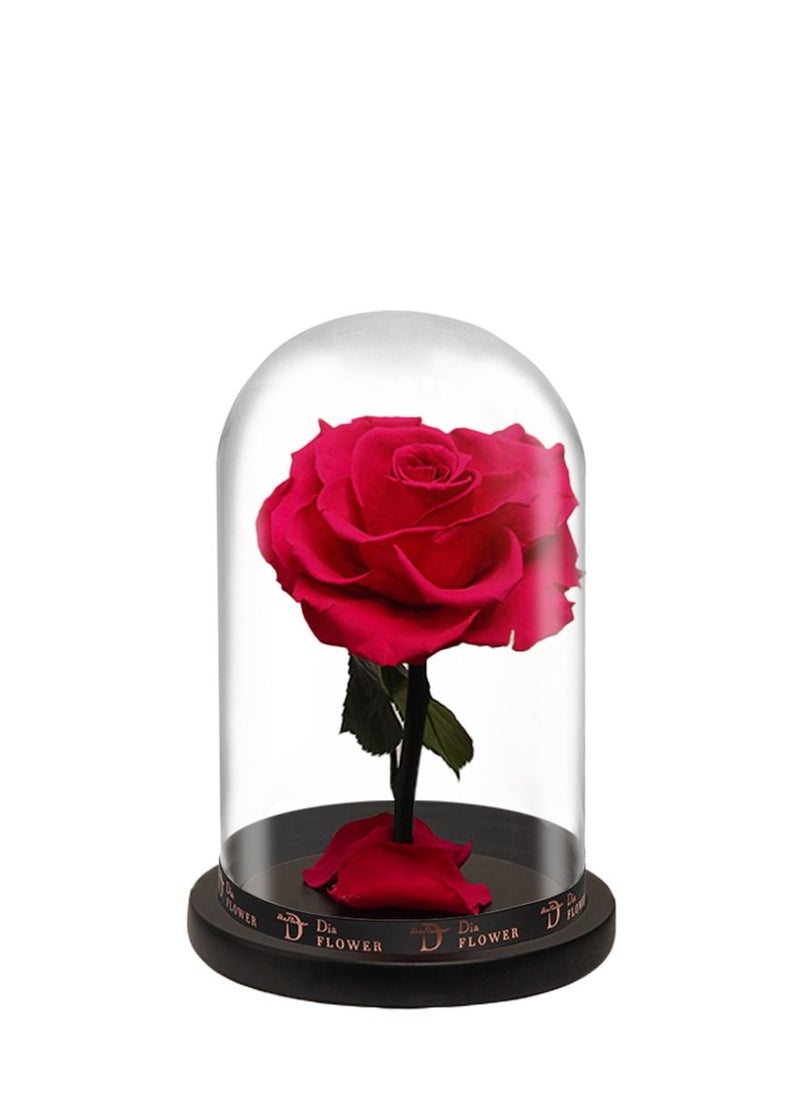 Dia FLOWER - بريميوم إنفينيتي متوسطة - Image 1