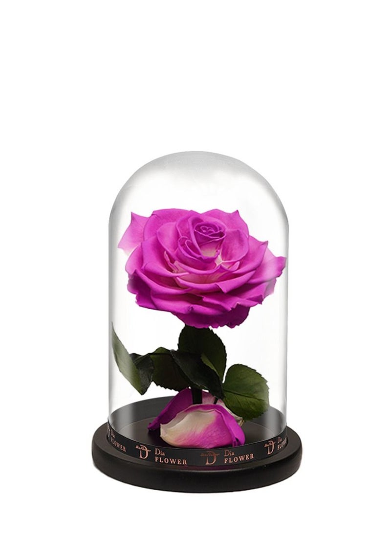 Dia FLOWER - بريميوم إنفينيتي متوسطة - Image 1