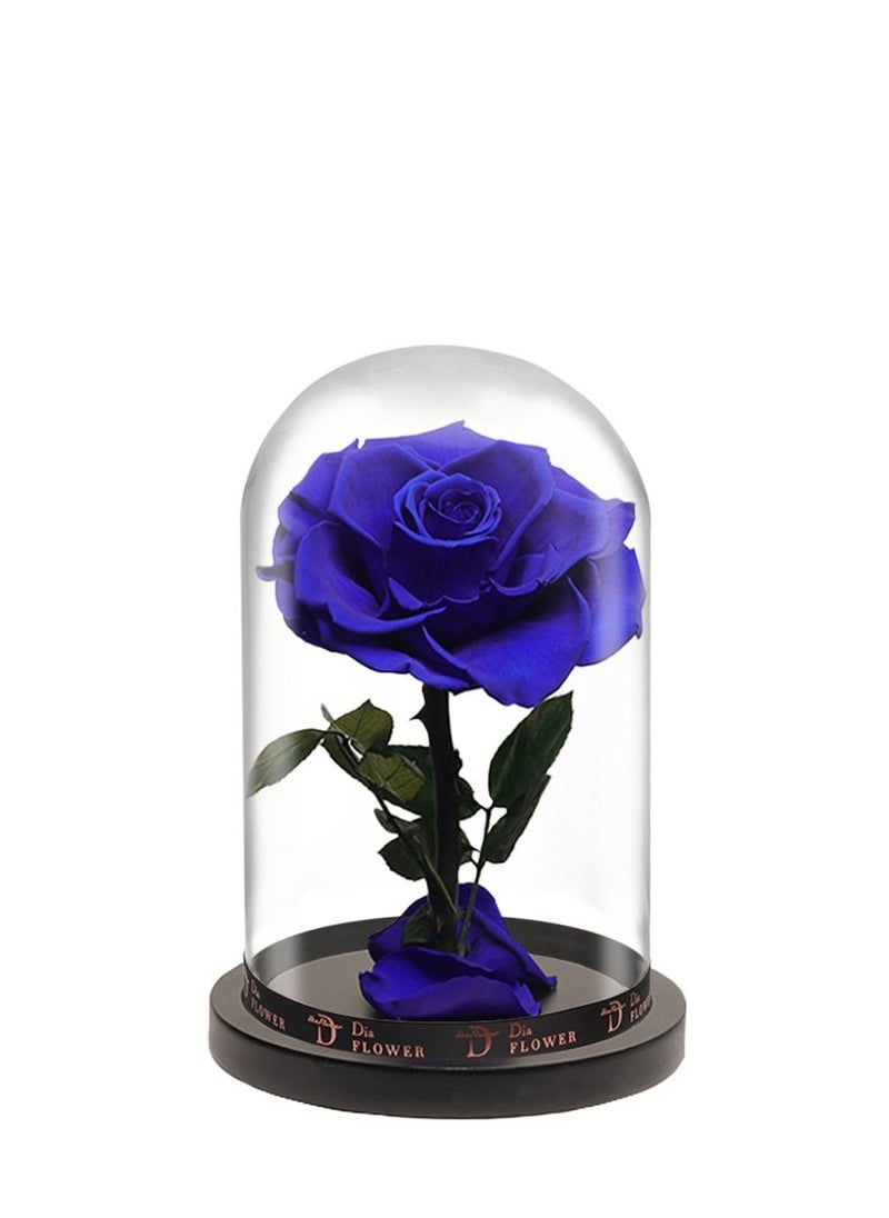 Dia FLOWER - بريميوم إنفينيتي متوسطة - Image 1