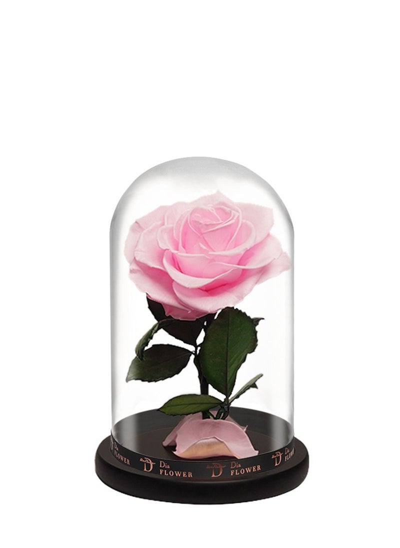 Dia FLOWER - بريميوم إنفينيتي متوسطة - Image 1