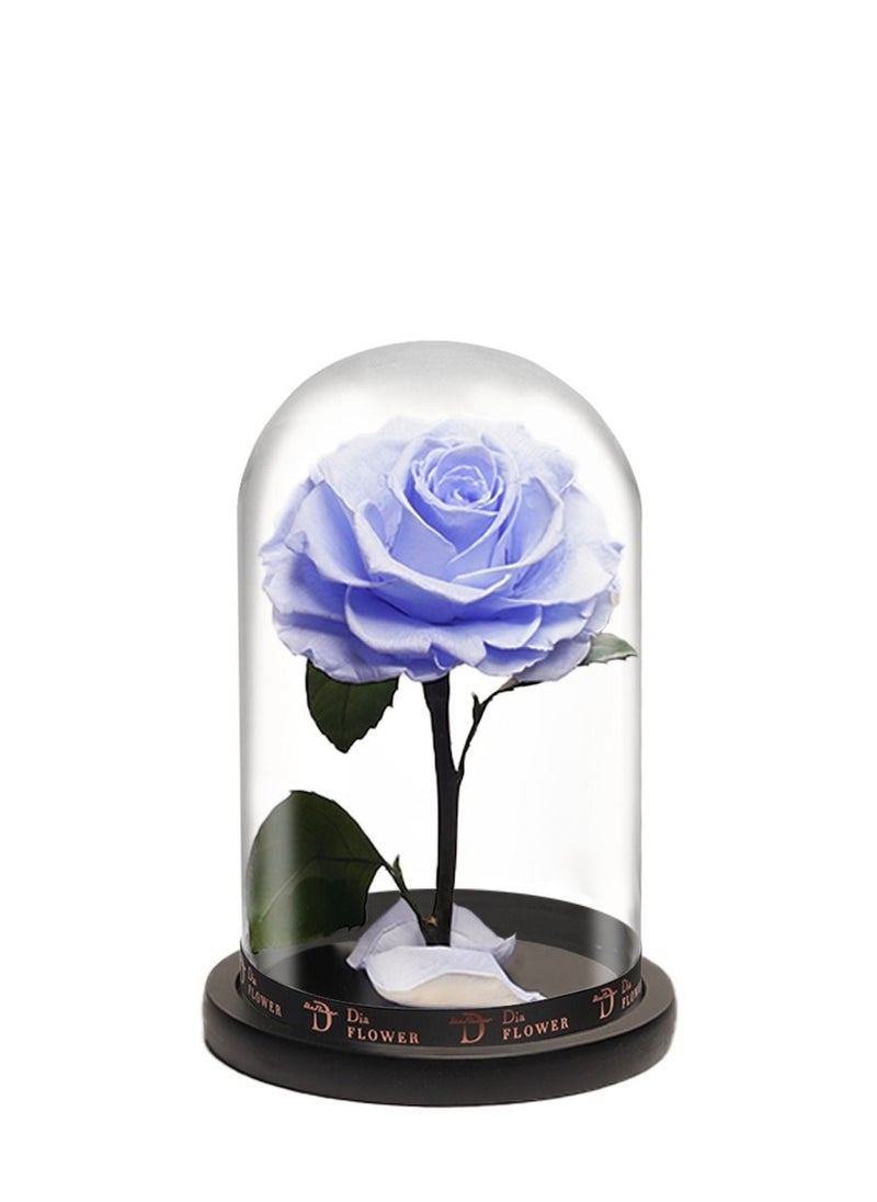 Dia FLOWER - بريميوم إنفينيتي متوسطة - Image 1
