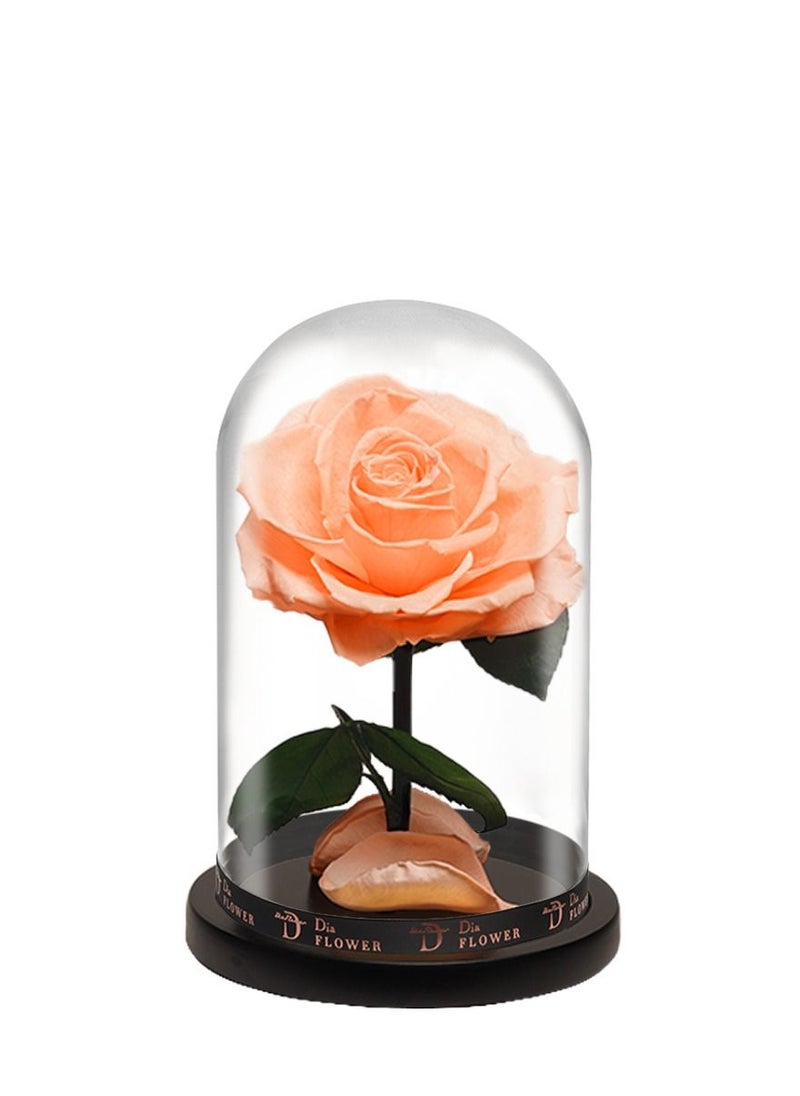Dia FLOWER - بريميوم إنفينيتي متوسطة - Image 1