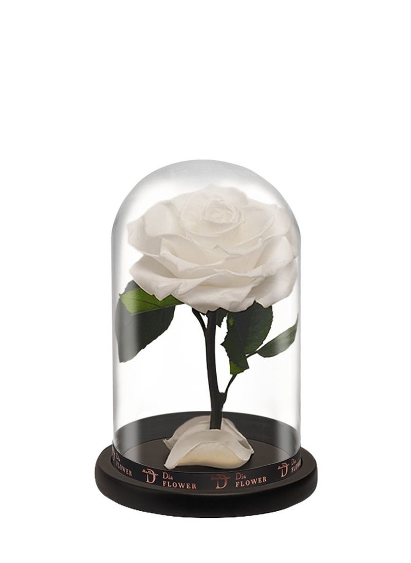 Dia FLOWER - بريميوم إنفينيتي متوسطة - Image 1
